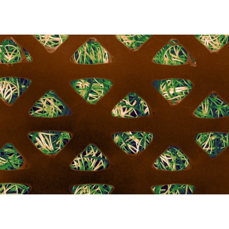 Band Aid SEM Stretched Canvas - Science Source (36 x 24)