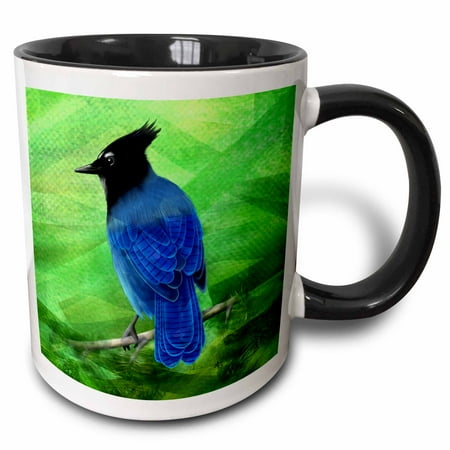 3dRose A Stellars Jay with an abstract green background - Two Tone Black Mug 11-ounce
3dRose A Stellars Jay with an abstract green background - Two Tone Black Mug 11-ounce