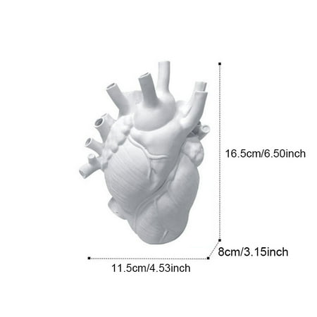 AessdcanVase In The Shape Of Human Heart Home Decoration Desktop Art Craft Ornament Exquisite And High-end Indoor Vase Organ Design Flower Container
AessdcanVase In The Shape Of Human Heart Home Decoration Desktop Art Craft Ornament Exquisite And High-end Indoor Vase Organ Design Flower Container