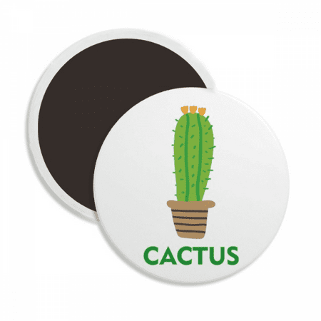 Green Cactus Potted Succulents Round Ceracs Fridge Magnet Keepsake Decoration