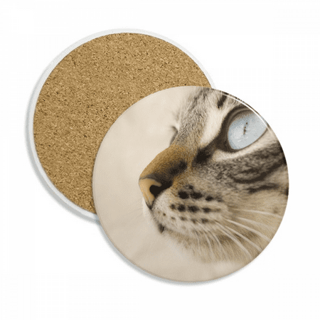 Animal Blue Eye Kitten Gray Photo Coaster Cup Mug Tabletop Protection Absorbent Stone
Animal Blue Eye Kitten Gray Photo Coaster Cup Mug Tabletop Protection Absorbent Stone