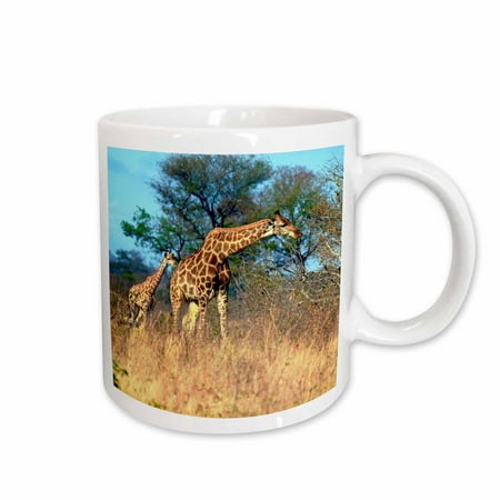 

3dRose Cape Giraffe Kruger National park South Africa - AF42 MGL0024 - Miva Stock Ceramic Mug 15-ounce