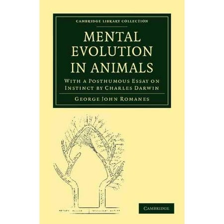 essay about charles darwin essay about charles darwin