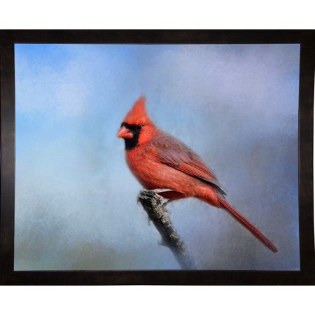 Cardinal At First Frost-JAIJOH140329 Print 10.75"x13.25" by Jai Johnson in a Affordable Black Medium