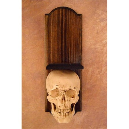 Skeletons & More SCON-850NC Wall Scone Skull at Bottom of Wood Frame No Candle