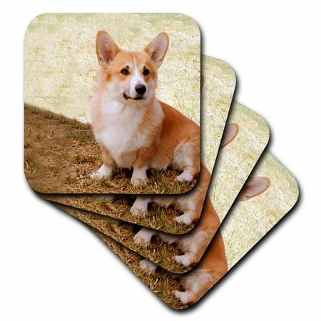 Pembroke Welsh Corgi set of 4 Coasters - Soft cst-1065-1