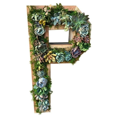 Flower Pots Decorative Wall Wooden Monogram Letters with Artificial Succulents Bryophytes Vertical Artificial Garden POTS Living Wall Art for Home & Garden P One Size
Flower Pots Decorative Wall Wooden Monogram Letters with Artificial Succulents Bryophytes Vertical Artificial Garden POTS Living Wall Art for Home & Garden P One Size