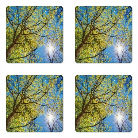Forest Coaster Set of 4 Tree Branches Pastoral Lumber Wide Flourishing Natural Beauty Eco Backed Image Art Square Hardboard Gloss Coasters Standard Size Green Blue by Ambesonne