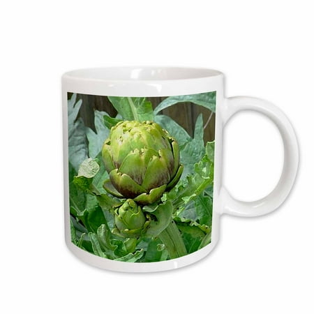 3dRose Artichoke Ceramic Mug 15-ounce
3dRose Artichoke Ceramic Mug 15-ounce
