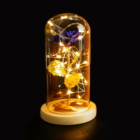 Suzicca Glass Cover Internal Rose DIY Decoration Lamp Romantic LED Small Night Light Valentine s Day Gift
Suzicca Glass Cover Internal Rose DIY Decoration Lamp Romantic LED Small Night Light Valentine s Day Gift