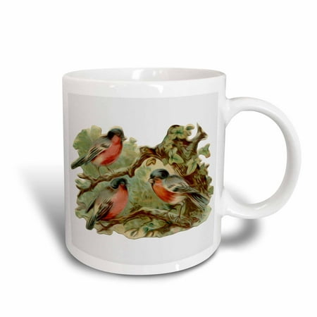 3dRose Vintage Victorian Bird Illustration Three Red Robins In A Tree - Ceramic Mug 15-ounce
3dRose Vintage Victorian Bird Illustration Three Red Robins In A Tree - Ceramic Mug 15-ounce