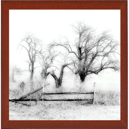 Stand Of Trees-HARTRE50404 Print 11.5"x11.5" by Harold Silverman - Trees & Old Fences in a Affordable Red Mahogany Medium