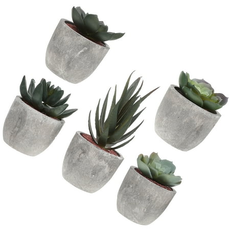 5 Pcs Bonsai Aestechtic Room Decor House Plants Ornament Vintage Artificial Adornments Desktop Plastic
5 Pcs Bonsai Aestechtic Room Decor House Plants Ornament Vintage Artificial Adornments Desktop Plastic