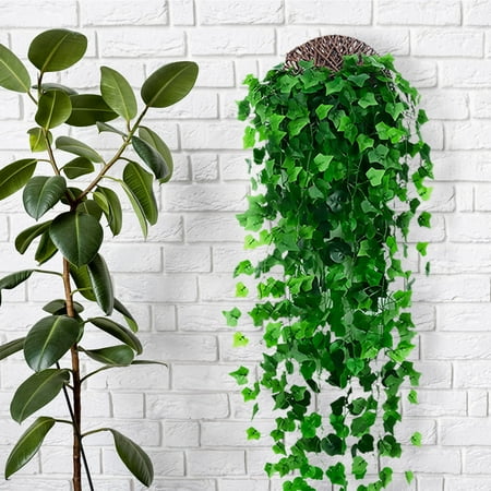 Yishangzhng Begonia Leaf Wall Hanging Ivy Wall Hanging Grape Leaf Wall Hanging Fake Plants Artificial Window Box Wedding Office Home Indoor Outdoor Decor Fall Decor House Decor
Yishangzhng Begonia Leaf Wall Hanging Ivy Wall Hanging Grape Leaf Wall Hanging Fake Plants Artificial Window Box Wedding Office Home Indoor Outdoor Decor Fall Decor House Decor