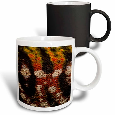 3dRose Jewel chameleon skin lizard MADAGASCAR-AF24 POX0377 - Pete Oxford Magic Transforming Mug 11oz
3dRose Jewel chameleon skin lizard MADAGASCAR-AF24 POX0377 - Pete Oxford Magic Transforming Mug 11oz