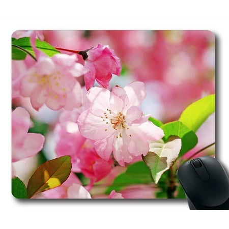 POPCreation Romantic Pink Peach Blossoms Mouse pads Gaming Mouse Pad 9.84x7.87 inches
POPCreation Romantic Pink Peach Blossoms Mouse pads Gaming Mouse Pad 9.84x7.87 inches