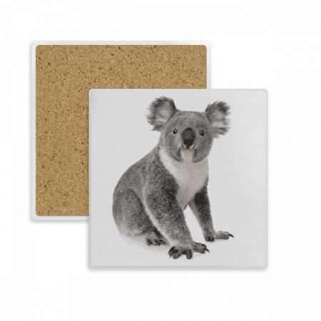 Koala Body Ears Art Deco Fashion Coaster Cup Mat Mug Subplate Holder Insulation Stone
Koala Body Ears Art Deco Fashion Coaster Cup Mat Mug Subplate Holder Insulation Stone