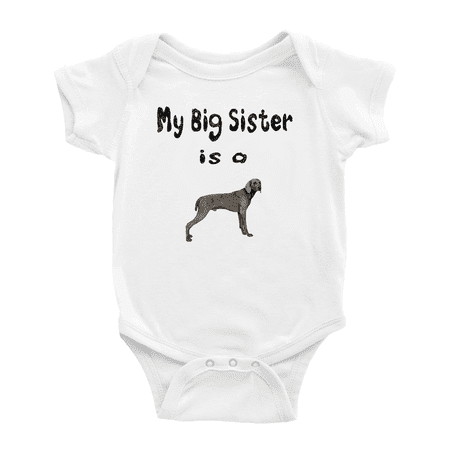 My Big Sister Is A Weimaraner Dog Cute Baby Bodysuit Boy Girl Unisex Baby Clothes
My Big Sister Is A Weimaraner Dog Cute Baby Bodysuit Boy Girl Unisex Baby Clothes