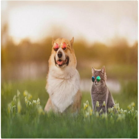 BESTKITTY Couple Corgi Dog Cloth Napkins 20 x 20 in Dinner Napkins Washable Polyester Soft Reusable Table Napkins for Home Xmas Holiday Party Wedding 1 PCS
BESTKITTY Couple Corgi Dog Cloth Napkins 20 x 20 in Dinner Napkins Washable Polyester Soft Reusable Table Napkins for Home Xmas Holiday Party Wedding 1 PCS