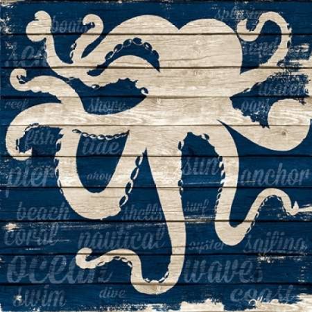 Coastal Wonder I Rolled Canvas Art - Gina Ritter (12 x 12)