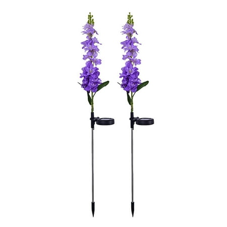 Hxdcxing Klein Toolselectrical Tools Led Solar Violet In-Ground Flower Lantern Villa Garden Decoration Light (Purple One Size)
Hxdcxing Klein Toolselectrical Tools Led Solar Violet In-Ground Flower Lantern Villa Garden Decoration Light (Purple One Size)