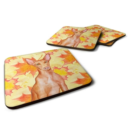 Carolines Treasures BB9976FC Pharaoh Hound Fall Foam Coaster Set of 4 Yellow 3 1/2 x 3 1/2 multicolor
Carolines Treasures BB9976FC Pharaoh Hound Fall Foam Coaster Set of 4 Yellow 3 1/2 x 3 1/2 multicolor