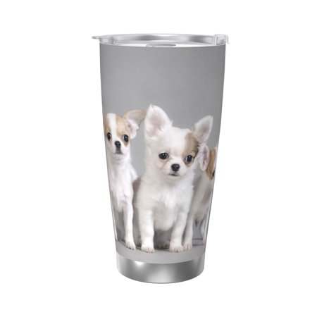 Chihuahua Puppies 20 Oz Water Bottle Insulated Tumblers Stainless Steel Cups Double Wall Tumbler with Lid
Chihuahua Puppies 20 Oz Water Bottle Insulated Tumblers Stainless Steel Cups Double Wall Tumbler with Lid