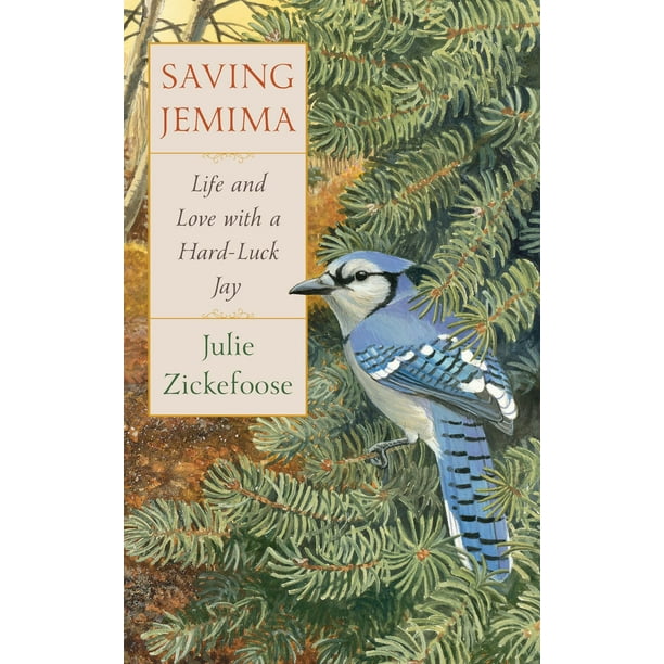 Saving Jemima - eBook