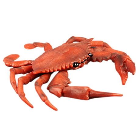 Simulation Red Blue Crab Toy Realistic Sea Animal Model Kids Toy Beach Bar Wall Decor
Simulation Red Blue Crab Toy Realistic Sea Animal Model Kids Toy Beach Bar Wall Decor
