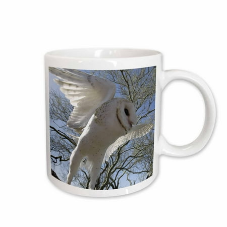 

Barn Owl Tyto alba also White Night Owl 11oz Mug mug-9919-1