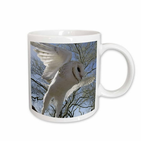 Barn Owl Tyto alba also White Night Owl 11oz Mug mug-9919-1