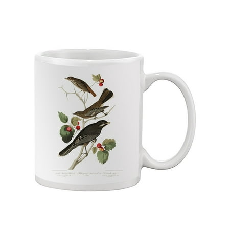 Little Tawny Thrushes Mug - John James Audubon Designs