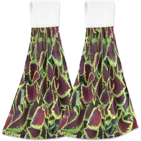 SKYSONIC 2 PCS Closeup of Colorful Coleus Plants Hanging Kitchen Towels Absorbent Hanging Hand Towel Cute Hand Towel with Hanging Loop 12 x17
SKYSONIC 2 PCS Closeup of Colorful Coleus Plants Hanging Kitchen Towels Absorbent Hanging Hand Towel Cute Hand Towel with Hanging Loop 12 x17