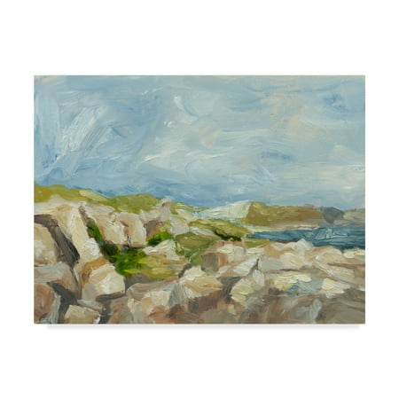 Trademark Fine Art 'Impasto Mountainside IV' Canvas Art by Ethan Harper