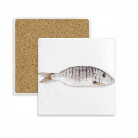 Ocean Fish Activity Curly Square Coaster Cup Mat Mug Subplate Holder Insulation Stone
Ocean Fish Activity Curly Square Coaster Cup Mat Mug Subplate Holder Insulation Stone
