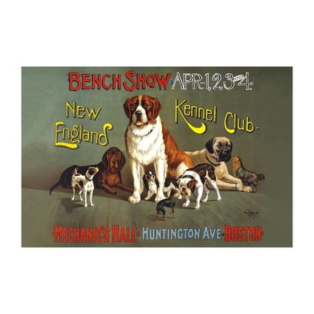"Bench Show. New England Kennel Club" Print (Canvas 24x36)