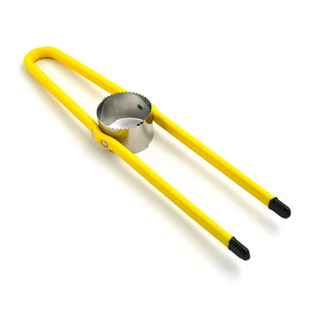 Corn slicer peeler stainless steel corn thresher on thresher stand kitchen cooking tool easy to operate and clean reusable and durable
Corn slicer peeler stainless steel corn thresher on thresher stand kitchen cooking tool easy to operate and clean reusable and durable