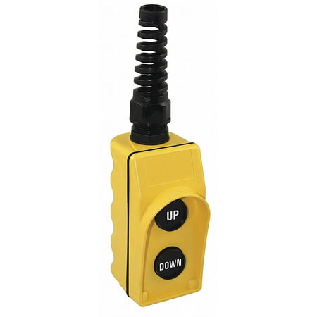 Dayton Pendant Station 2NO Yellow 20C812
