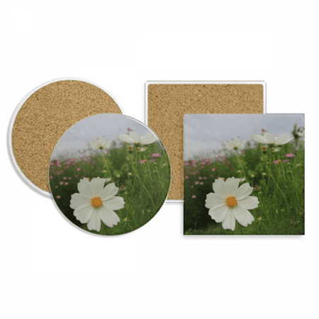 White Cosmos Coaster Cup Mug Holder Absorbent Stone Cork Base Set