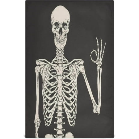 Hyjoy Halloween Funny Skeleton Ok Pose Kitchen Dish Towel Set Drying Kitchen Towels Tea Towels Gift Set for Drying Cleaning Cooking Baking 1Pcs
Hyjoy Halloween Funny Skeleton Ok Pose Kitchen Dish Towel Set Drying Kitchen Towels Tea Towels Gift Set for Drying Cleaning Cooking Baking 1Pcs