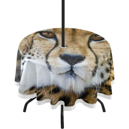 Hyjoy 60 Round Tablecloth Adult Cheetah Animal Waterproof Table Cover with Umbrella Hole and Zipper Party Patio Table Covers for Indoor & Outdoor Backyard /BBQ/Picnic
Hyjoy 60 Round Tablecloth Adult Cheetah Animal Waterproof Table Cover with Umbrella Hole and Zipper Party Patio Table Covers for Indoor & Outdoor Backyard /BBQ/Picnic