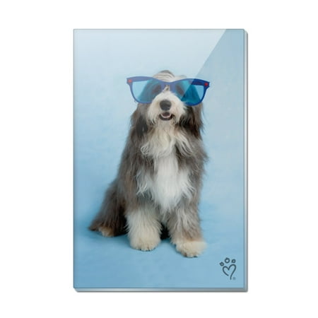 Sheepdog Bearded Collie Dog Giant Blue Sunglasses Rectangle Acrylic Fridge Refrigerator Magnet
Sheepdog Bearded Collie Dog Giant Blue Sunglasses Rectangle Acrylic Fridge Refrigerator Magnet