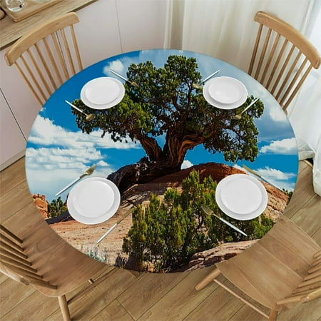 Table Covers with Elastic Edge Christmas Snowman Tree Cardinal Berry Fitted Table Cloth for Round Tables Winter Checker Oil Proof Waterproof Tablecloth for Indoor Outdoor Picnic Party 36-44in
Table Covers with Elastic Edge Christmas Snowman Tree Cardinal Berry Fitted Table Cloth for Round Tables Winter Checker Oil Proof Waterproof Tablecloth for Indoor Outdoor Picnic Party 36-44in