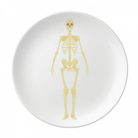 Human Body Illustration Bone Front Plate Decorative Porcelain Salver Tableware Dinner Dish
Human Body Illustration Bone Front Plate Decorative Porcelain Salver Tableware Dinner Dish
