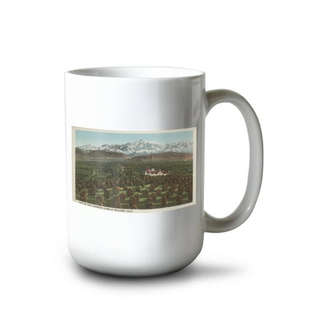 15 fl oz Ceramic Mug Redlands CA Mountain and Orchard Scene Dishwasher & Microwave Safe
15 fl oz Ceramic Mug Redlands CA Mountain and Orchard Scene Dishwasher & Microwave Safe