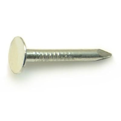 2d 1 Zinc Plated Steel Roofing Flat Head Nails (335 pcs.)