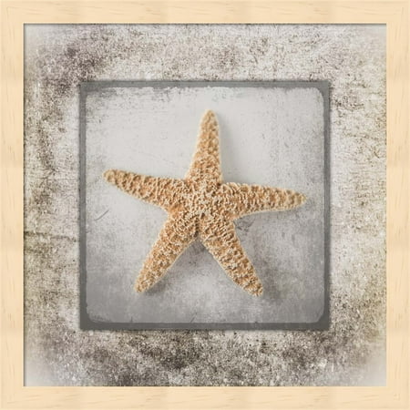 Stone Star by LightBoxJournal, Framed Wall Art, 13.25W x 13.25H