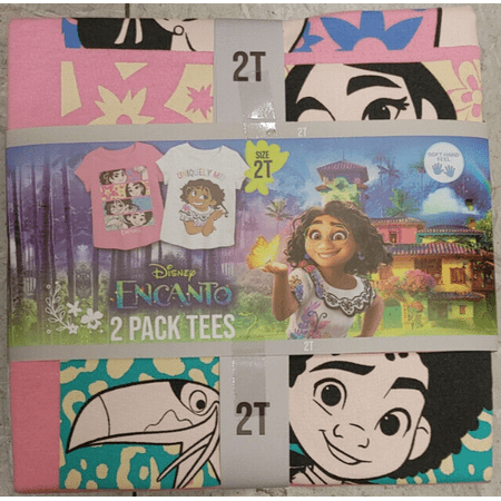 Encanto 2 Pack Tees (Pink/Heather Grey 4T)