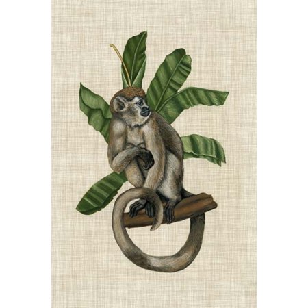 Canopy Monkey I Poster Print by Naomi McCavitt (18 x 26)