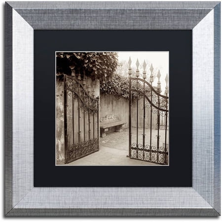 Trademark Fine Art "Avignon I" Canvas Art by Alan Blaustein, Black Matte, Silver Frame